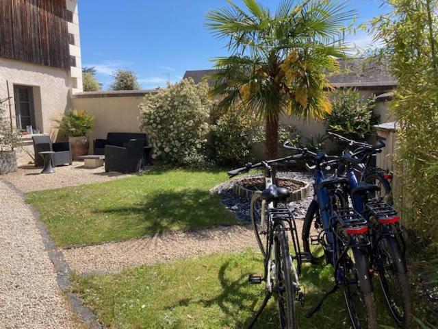 Chambres D'Hotes Rue Du Poids Bourgueil Eksteriør bilde